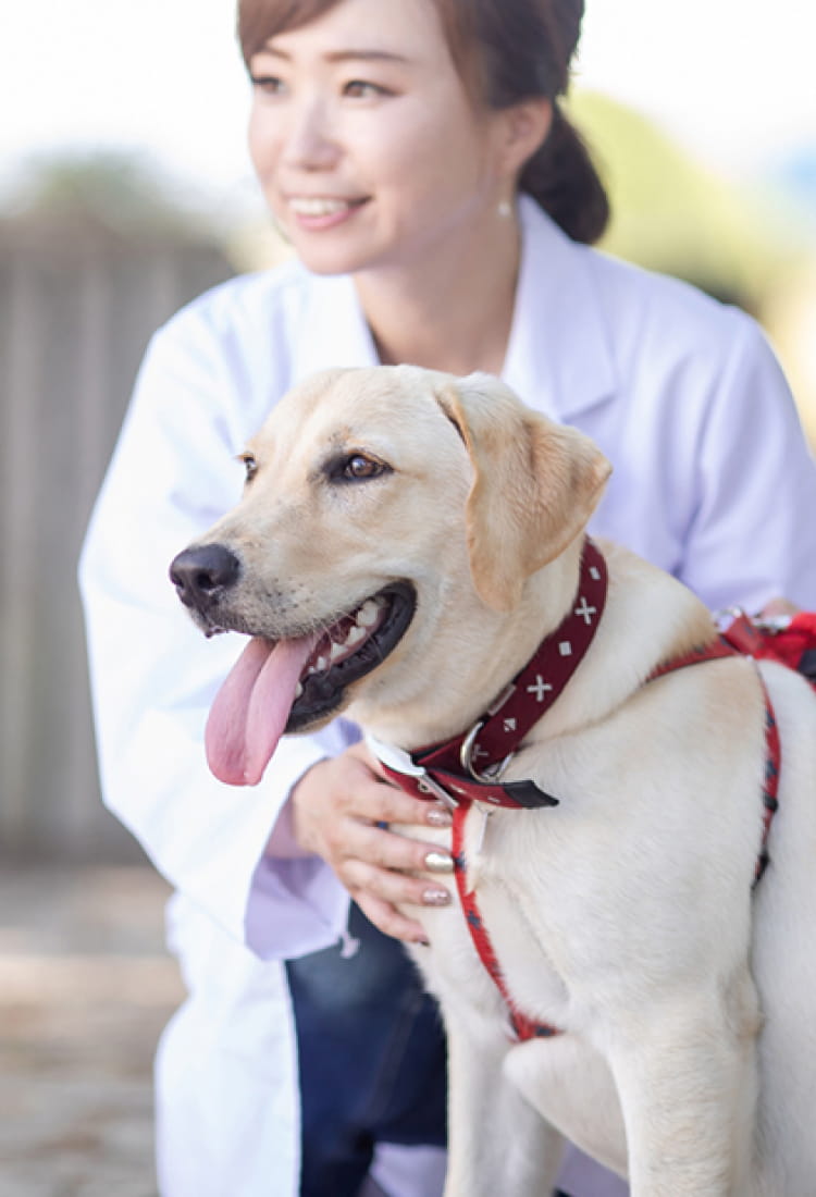 滑石きたむら動物病院は大切な家族の
ホームドクターです